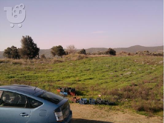 15 στρεμματα